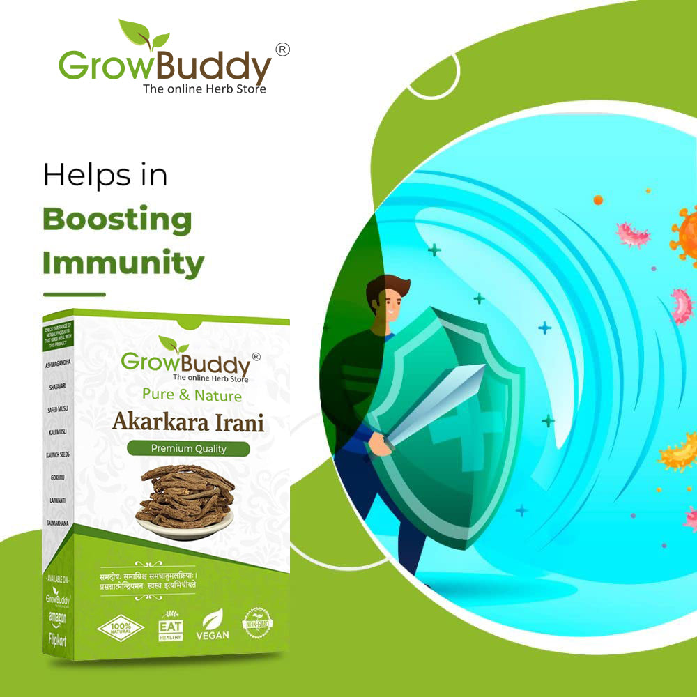 GrowBuddy Original Akarkara Powder | Anacyclus Pyrethrum (25 grams)