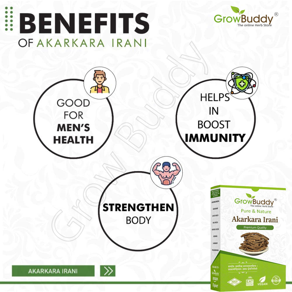 GrowBuddy Original Akarkara Powder | Anacyclus Pyrethrum (25 grams)