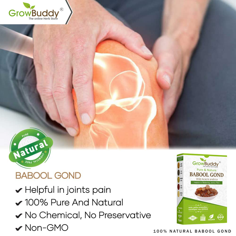 GrowBuddy Babul Gond Gum - Kikar Gond - Babool Gond - Acacia arabica Willd (250 Grams)