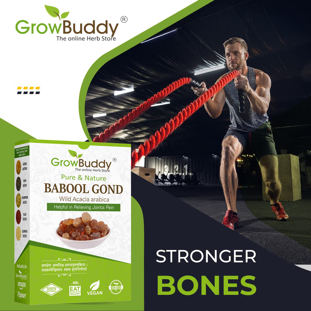 GrowBuddy Babul Gond Gum - Kikar Gond - Babool Gond - Acacia arabica Willd (250 Grams)
