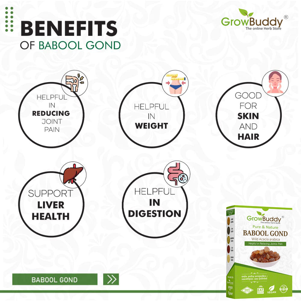 GrowBuddy Babul Gond Gum - Kikar Gond - Babool Gond - Acacia arabica Willd (250 Grams)