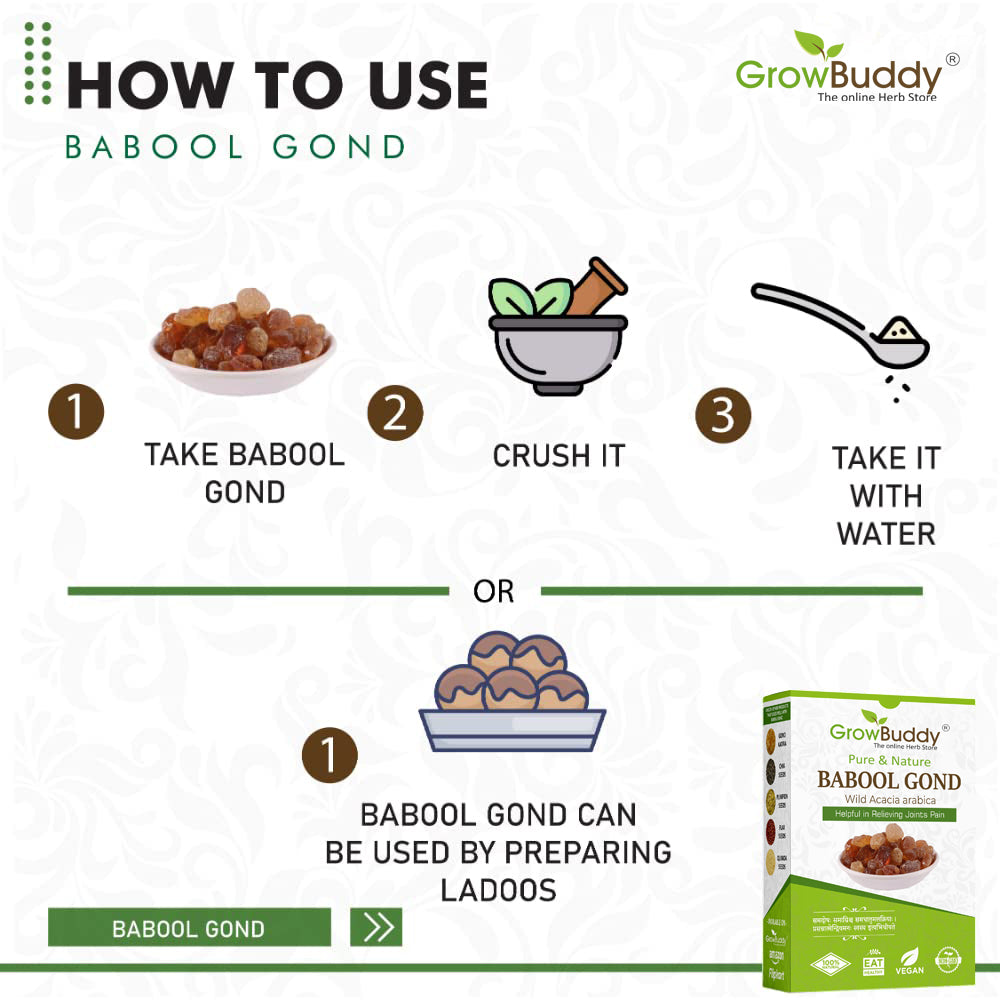 GrowBuddy Babul Gond Gum - Kikar Gond - Babool Gond - Acacia arabica Willd (250 Grams)