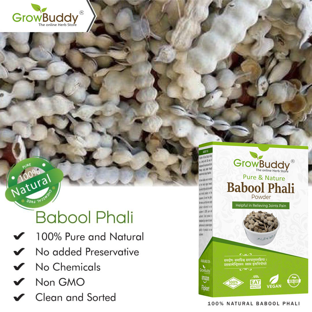 GrowBuddy Babool Phali Powder (250 grams) - Babool Fali - Kikar Phali - Kikar Fali