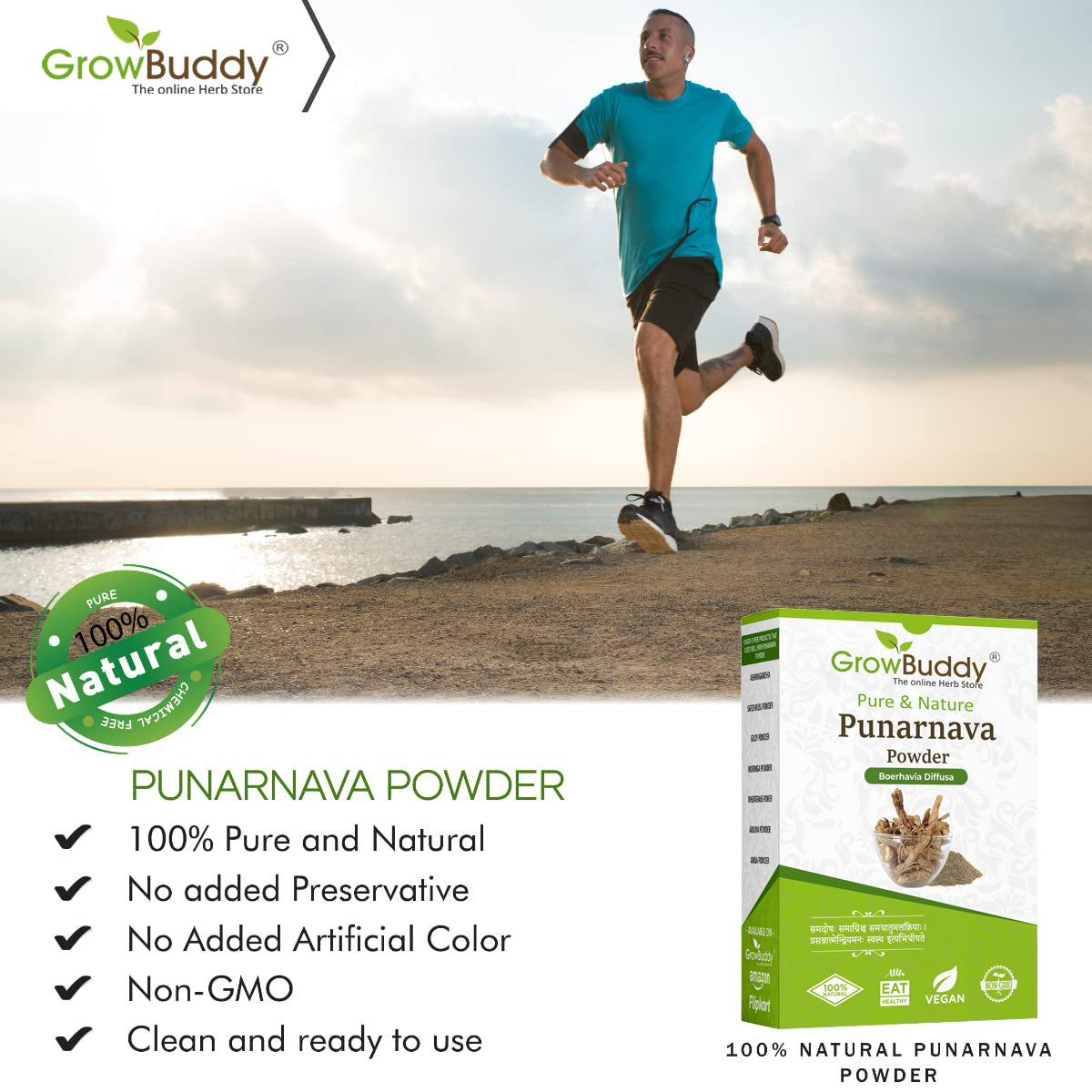 GrowBuddy Punarnava Powder for Kidney Rejuvenation (250 gm)