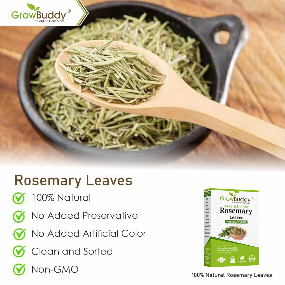GrowBuddy Natural Rosemary leaves for Hair growth 100 grams | 100% Natural, Preservative free | Dried rosemary leaves | Suitable for Rosemary water and Rosemarry oil preparation