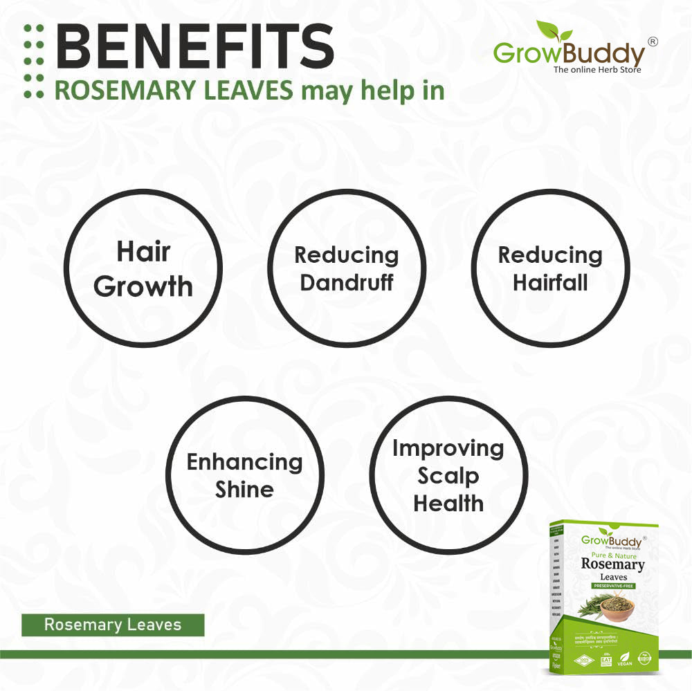 GrowBuddy Natural Rosemary leaves for Hair growth 100 grams | 100% Natural, Preservative free | Dried rosemary leaves | Suitable for Rosemary water and Rosemarry oil preparation