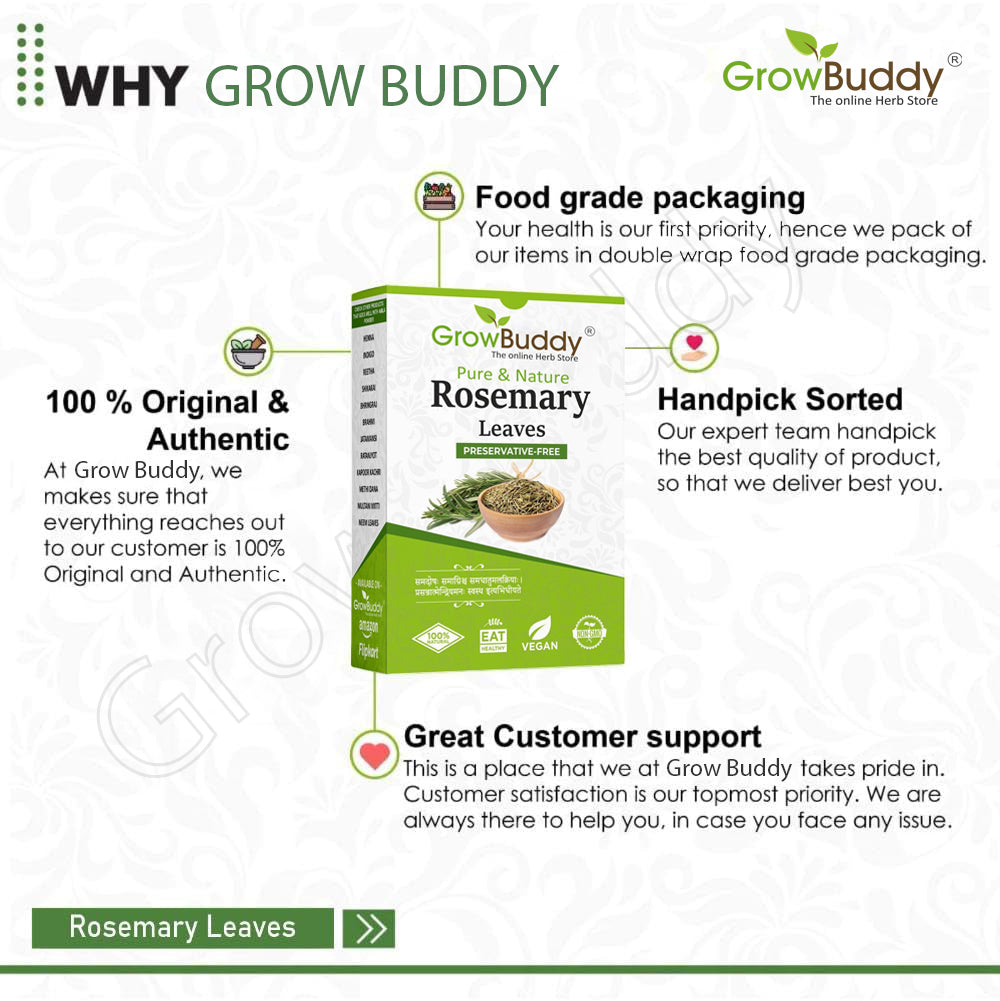 GrowBuddy Natural Rosemary leaves for Hair growth 100 grams | 100% Natural, Preservative free | Dried rosemary leaves | Suitable for Rosemary water and Rosemarry oil preparation